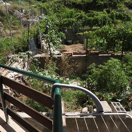 Hrstich Apartments Drasnice Dış mekan fotoğraf